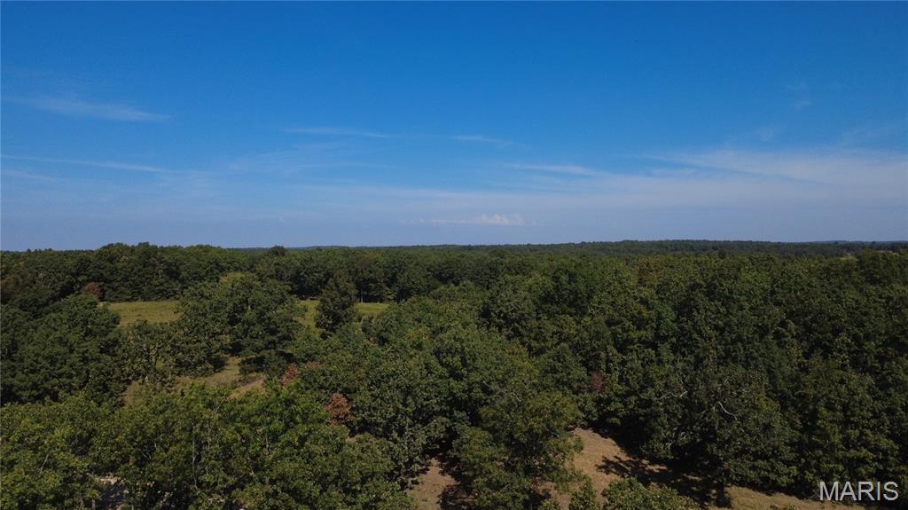 21806 King Drive Property Photo 46