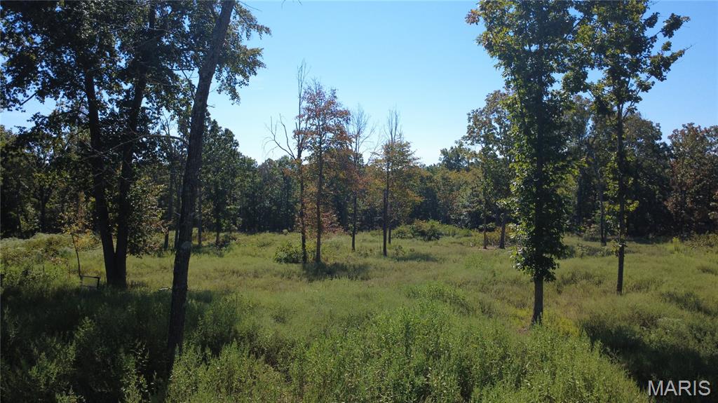 21806 King Drive Property Photo 48