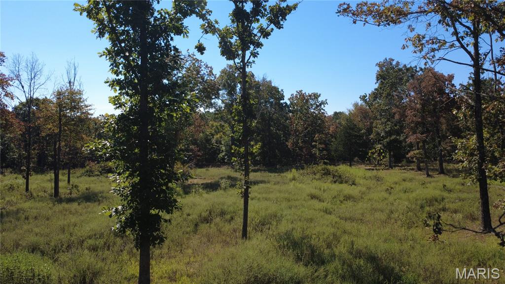 21806 King Drive Property Photo 49