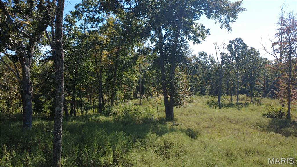 21806 King Drive Property Photo 50