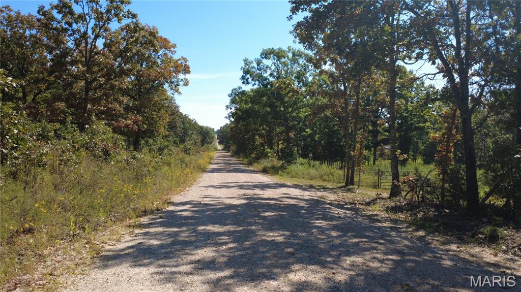 21806 King Drive Property Photo 54