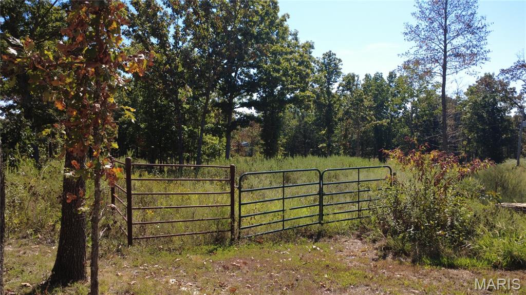 21806 King Drive Property Photo 56