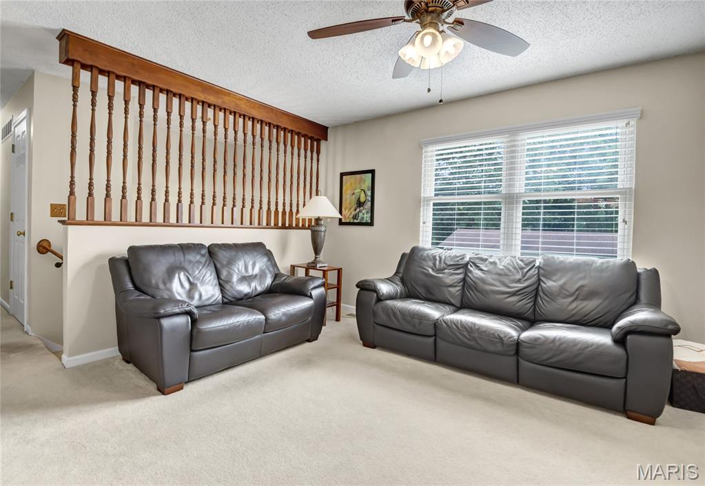 6205 Brogan Dale Circle Property Photo 4