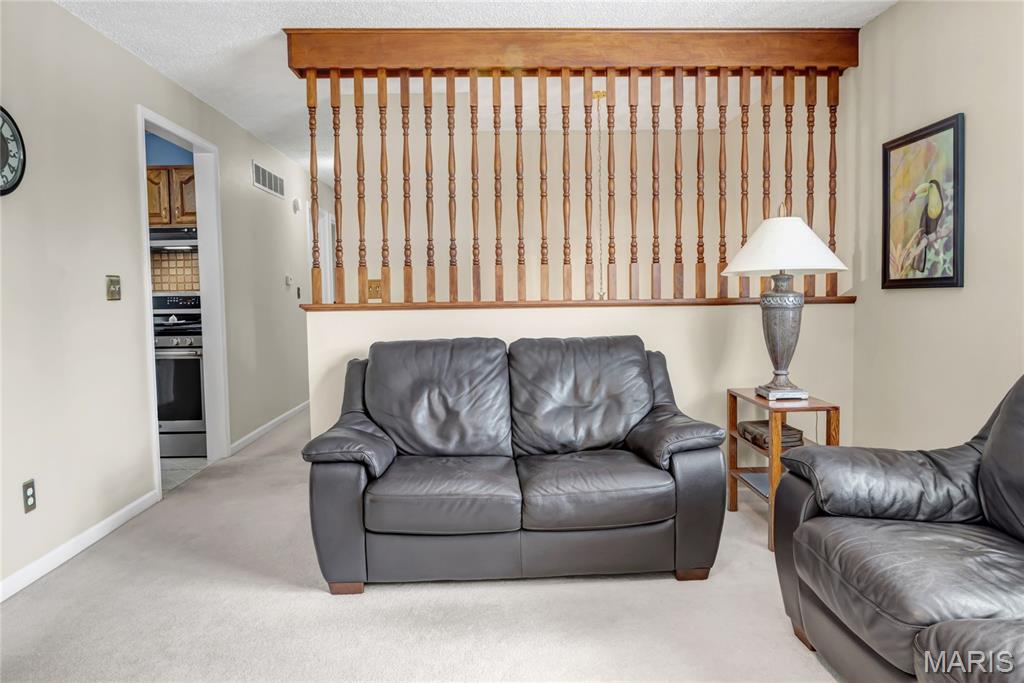 6205 Brogan Dale Circle Property Photo 10