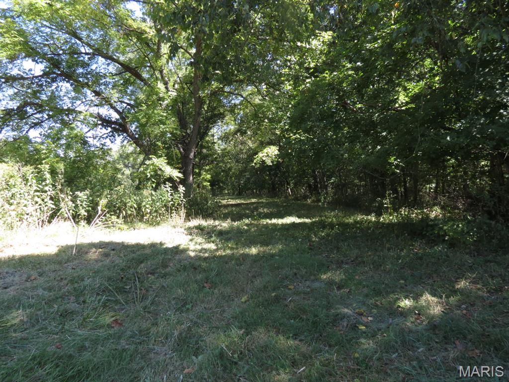 262 Collins Lane Property Photo 34