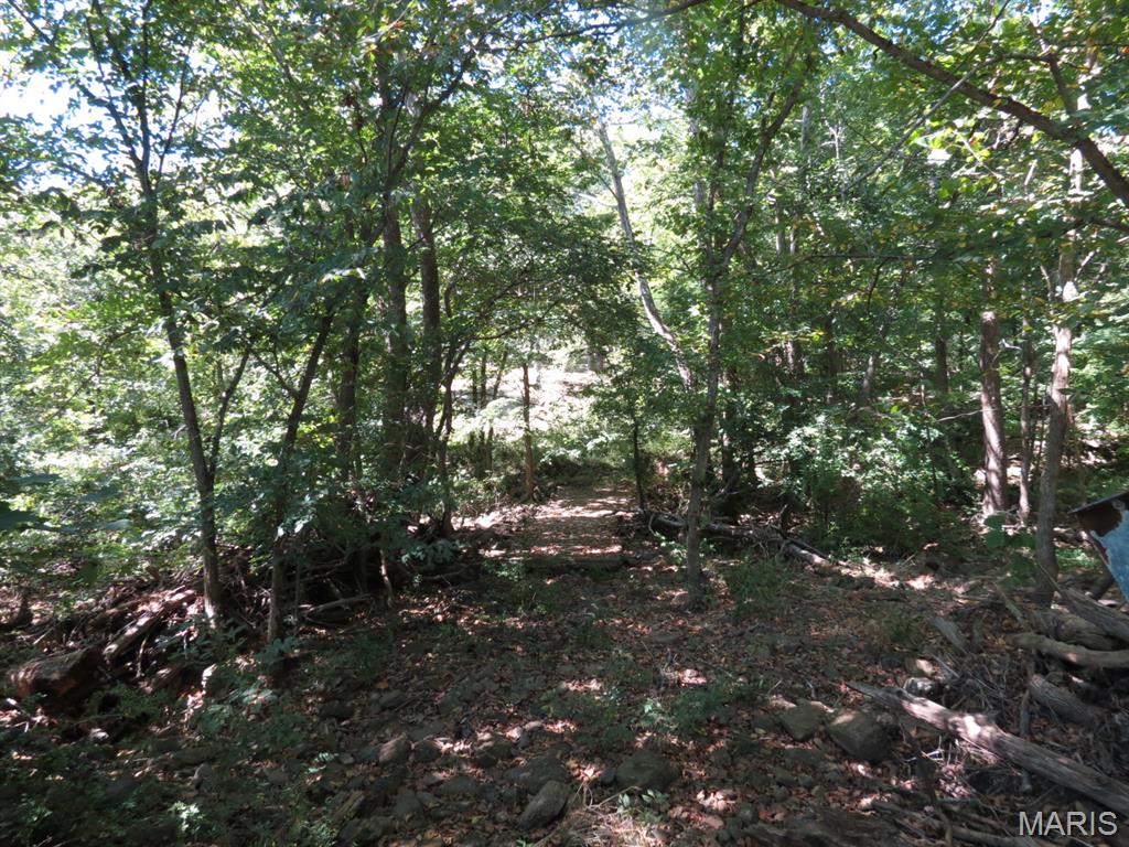 262 Collins Lane Property Photo 36