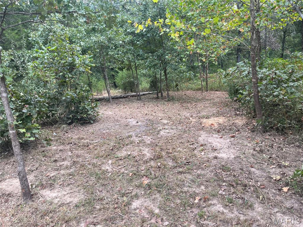 518 Winding Woods Court Property Photo 1