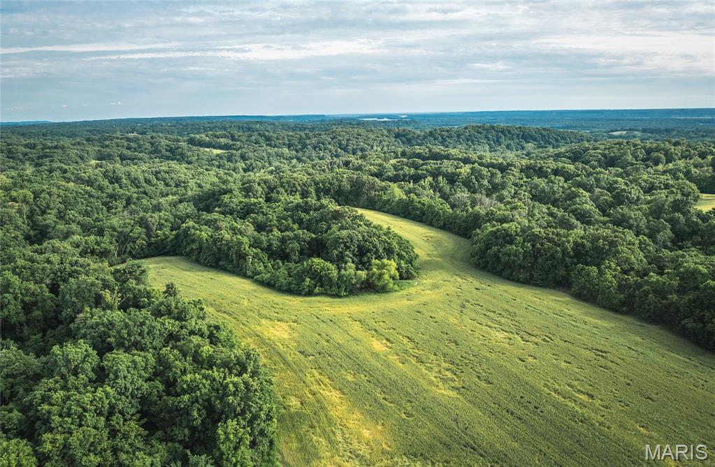 90 Jug Hollow Road Property Photo 4