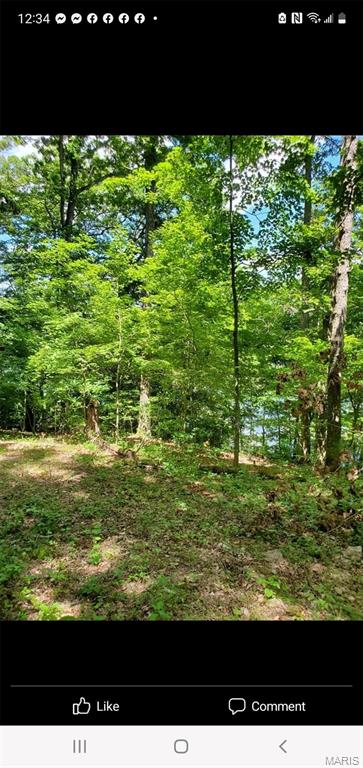 229 Anthonies Mill Road Property Photo 36