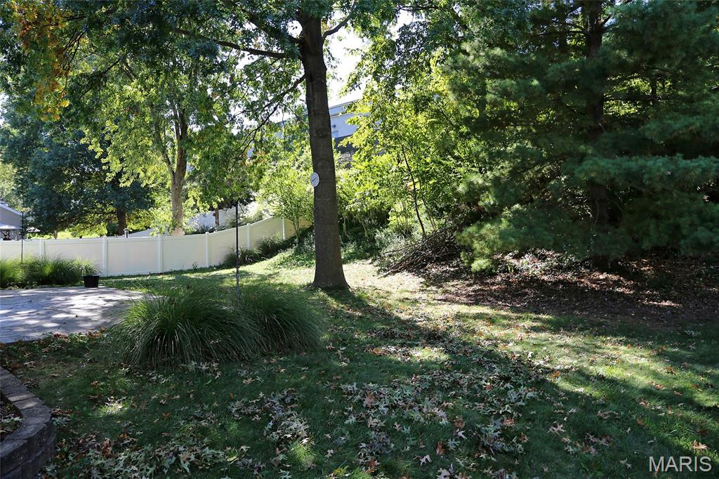 1908 Saint Johns Crossing Property Photo 36