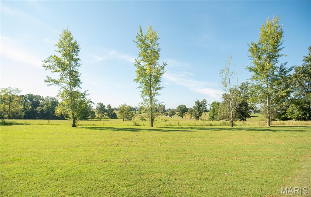 25856 County Road 249 Property Photo 54
