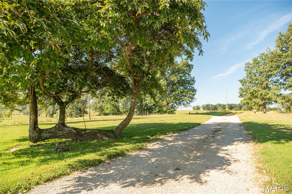 25856 County Road 249 Property Photo 56