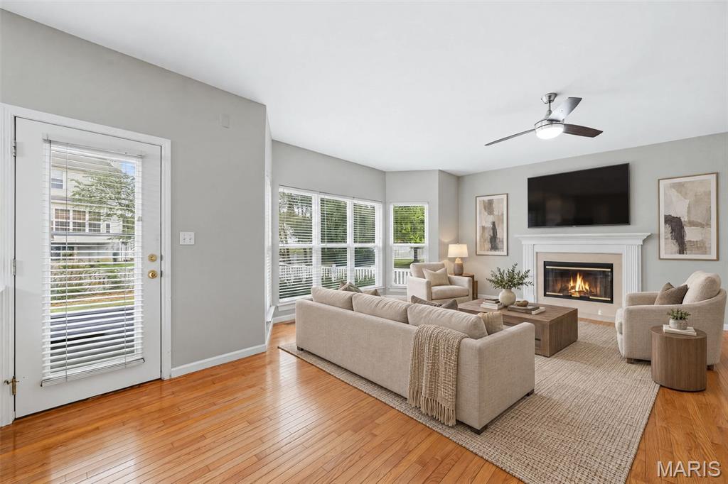 223 Chestnut Hill Drive Property Photo 4