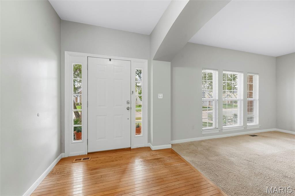 223 Chestnut Hill Drive Property Photo 16
