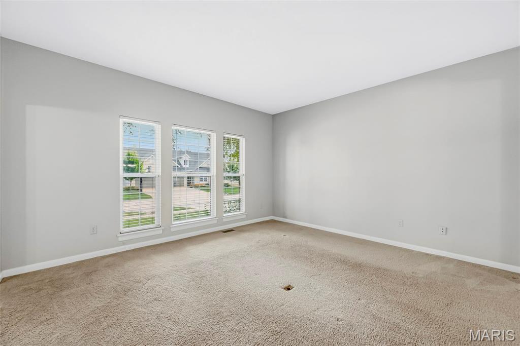 223 Chestnut Hill Drive Property Photo 19
