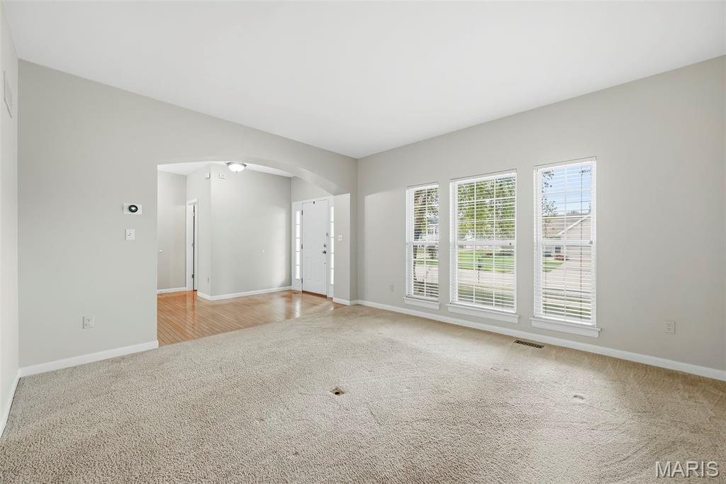 223 Chestnut Hill Drive Property Photo 21