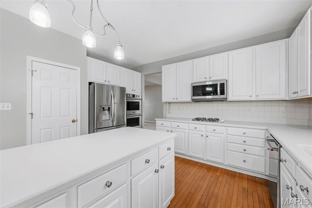 223 Chestnut Hill Drive Property Photo 29