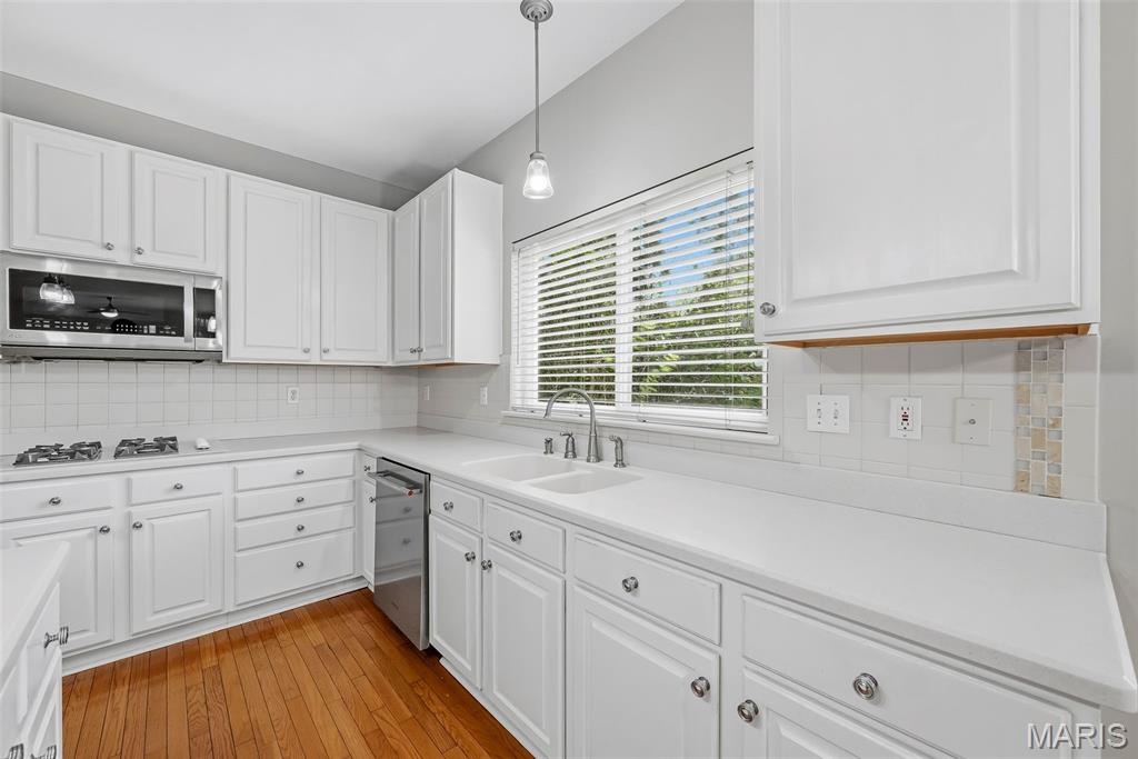 223 Chestnut Hill Drive Property Photo 30