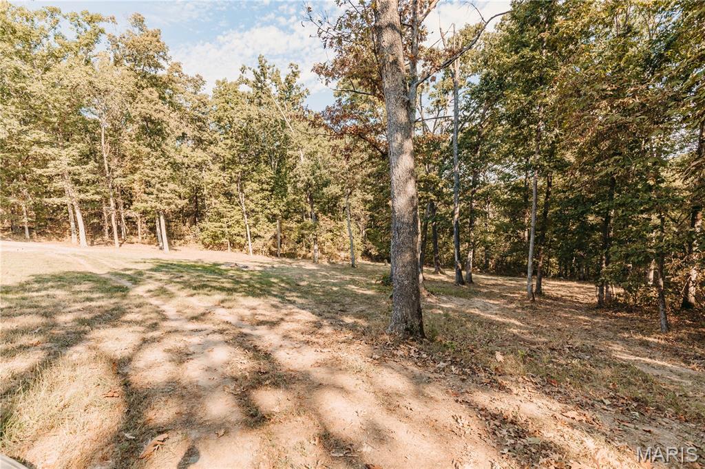 17310 Long Ridge Property Photo 85