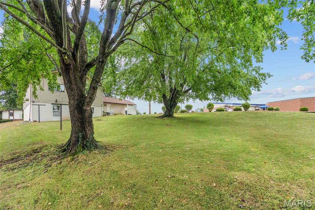 1 Buckingham Drive Property Photo 35