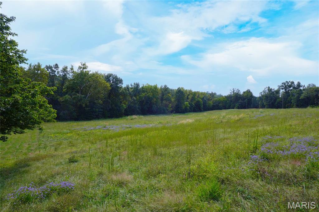 2136 Walz Road Property Photo 68