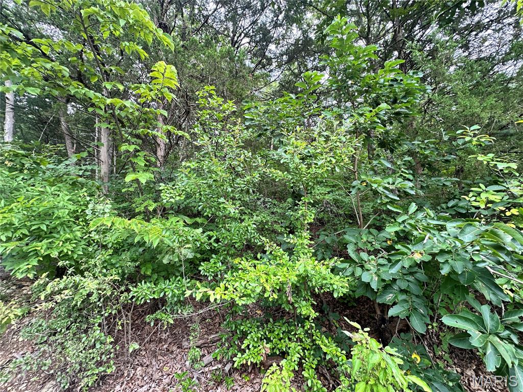 Lot 34 Lakeshore Drive Property Photo 1
