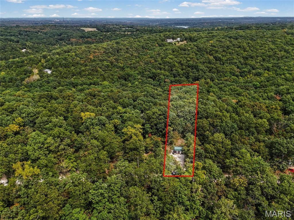 2141 Big River Trail Property Photo 6