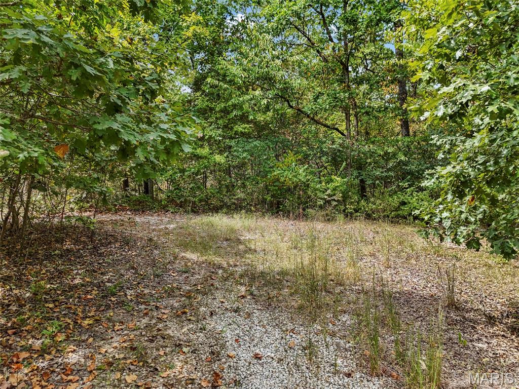 2141 Big River Trail Property Photo 22