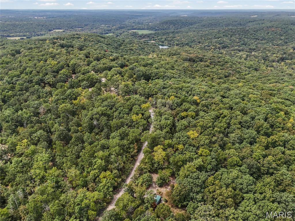 2141 Big River Trail Property Photo 26