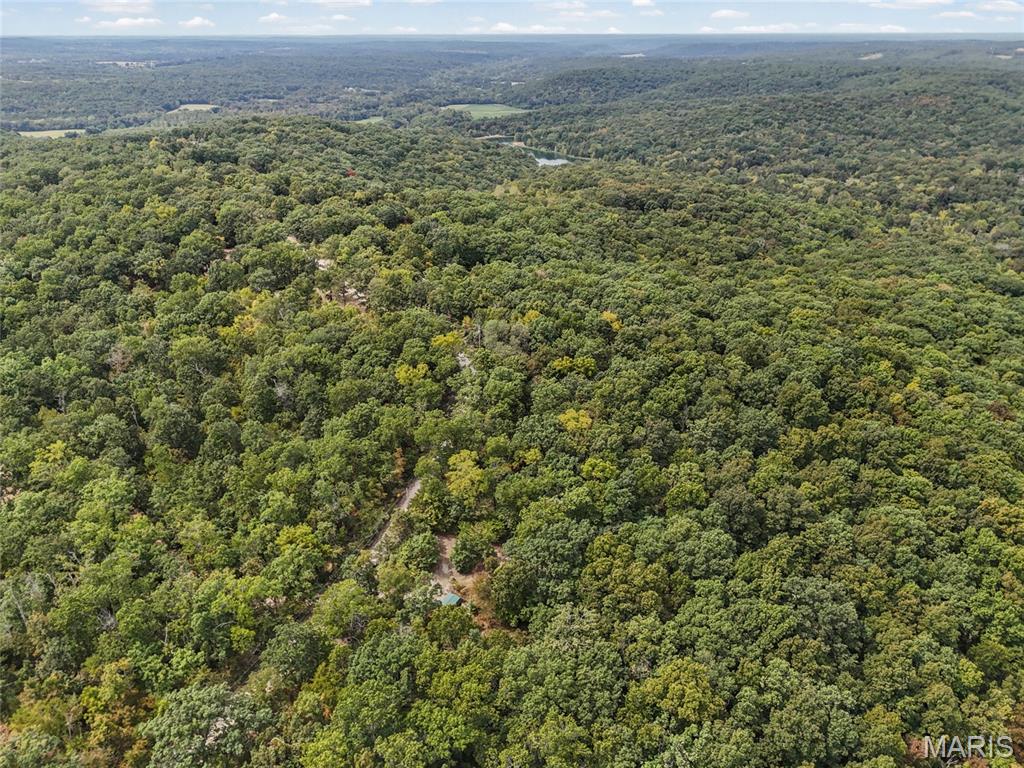 2141 Big River Trail Property Photo 27