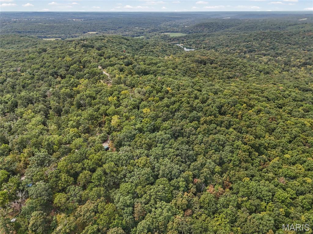2141 Big River Trail Property Photo 28