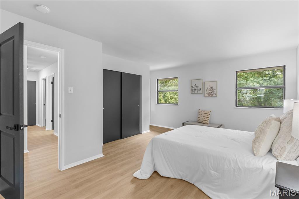 19 Muir Street Property Photo 15