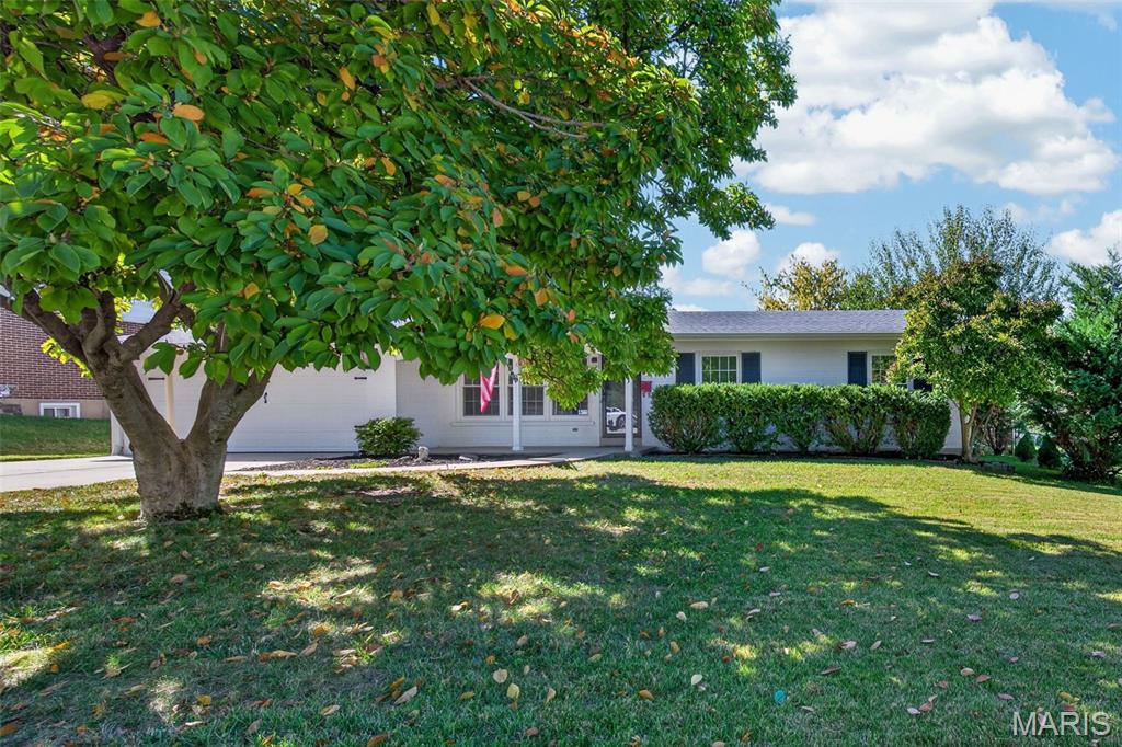 2913 Cypress Drive Property Photo 3