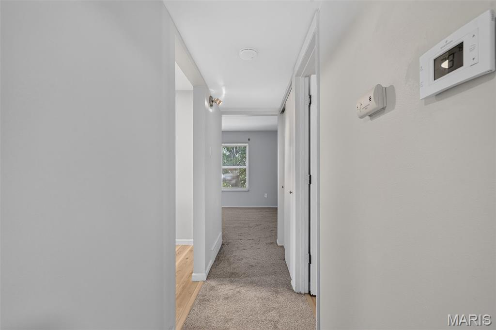 10031 Willdan Drive Property Photo 42