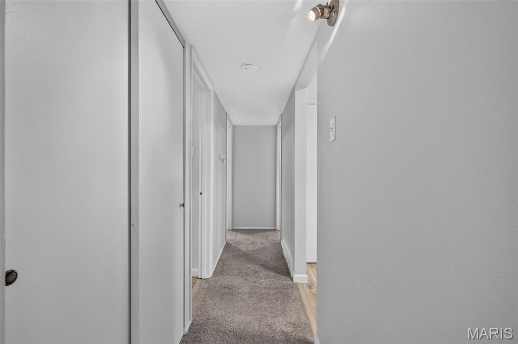 10031 Willdan Drive Property Photo 49