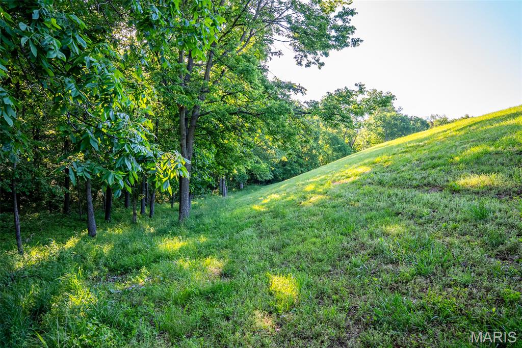 16602 N Steel Lane Property Photo 80
