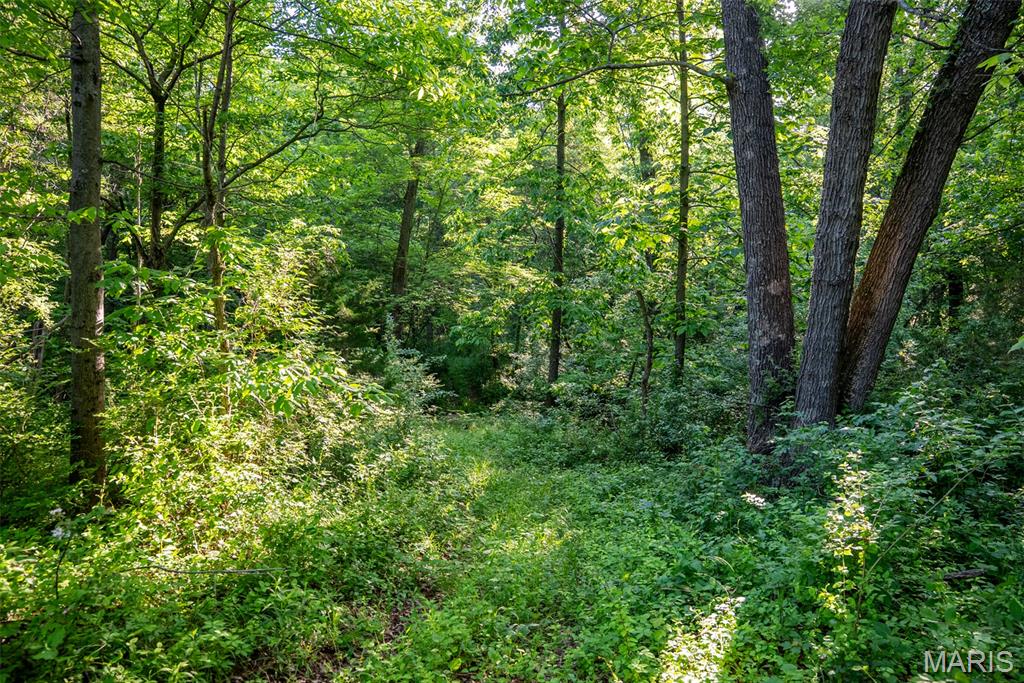 16602 N Steel Lane Property Photo 84