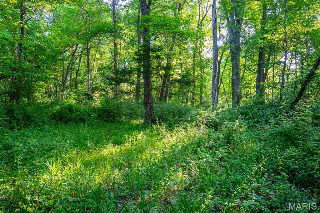 16602 N Steel Lane Property Photo 86