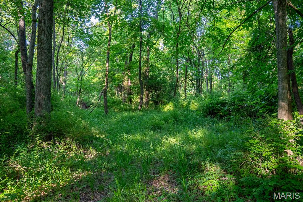 16602 N Steel Lane Property Photo 90