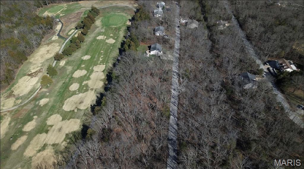 2 Lots// 9563 & 9569 Bent Tree Drive Property Photo 4