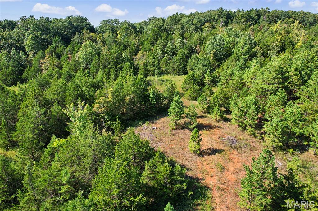 20720 State Highway C Property Photo 4
