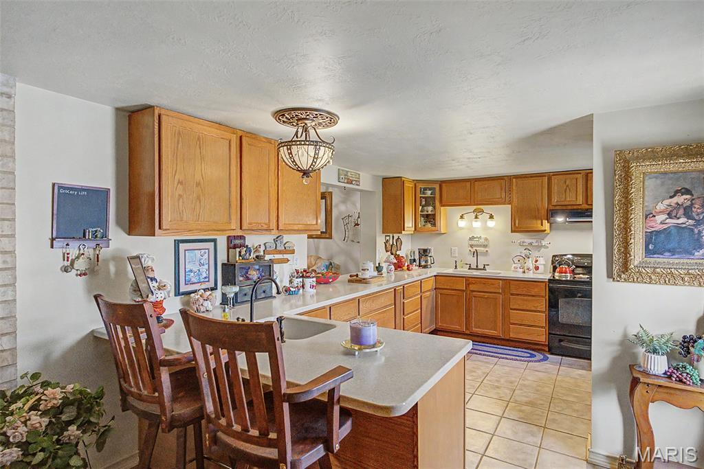 20720 State Highway C Property Photo 18