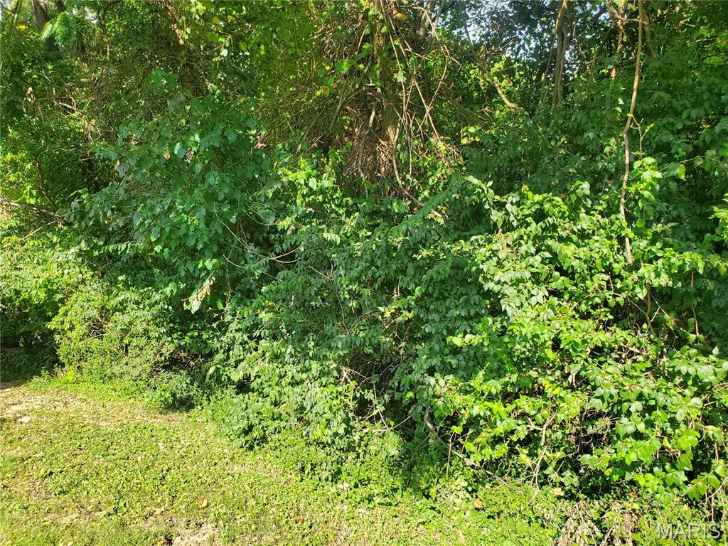 12x Hillcrest Avenue Property Photo 10