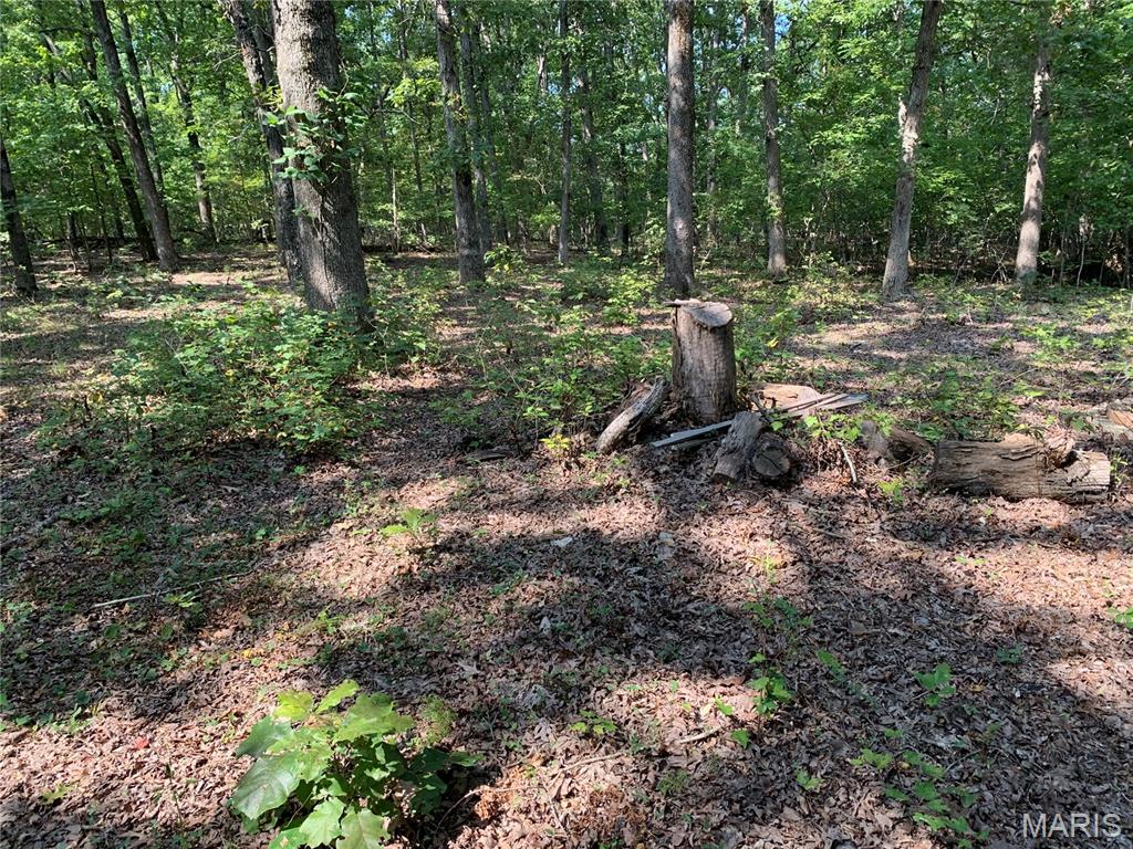 Off Cr 124 Property Photo 11