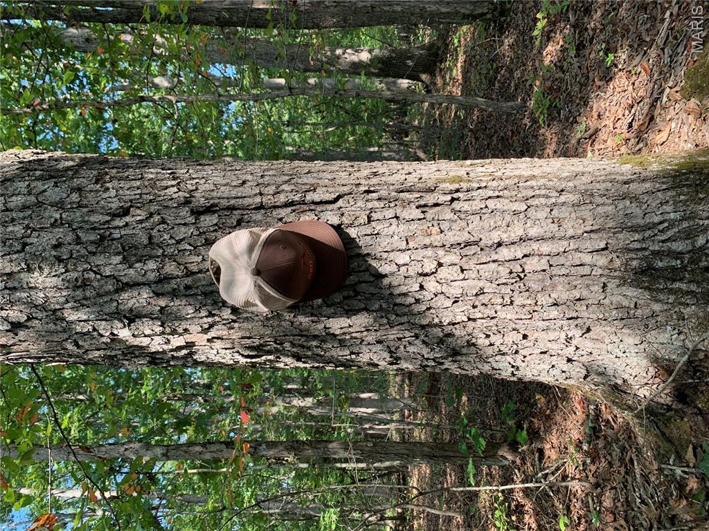 Off Cr 124 Property Photo 12