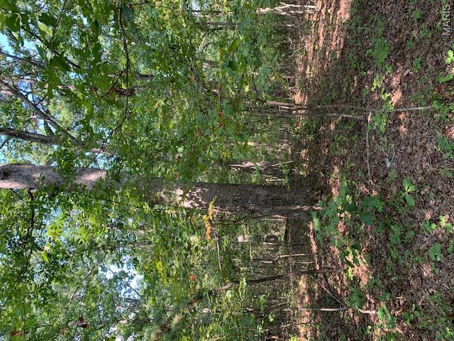 Off Cr 124 Property Photo 14