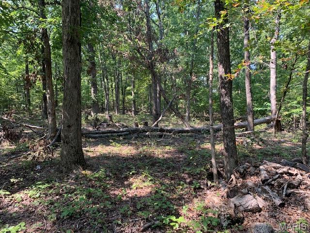 Off Cr 124 Property Photo 15