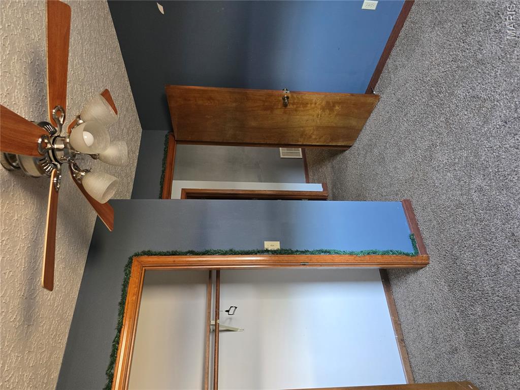 128 Carter Street Property Photo 15