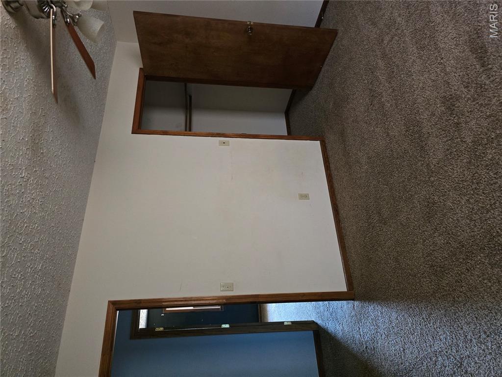 128 Carter Street Property Photo 19