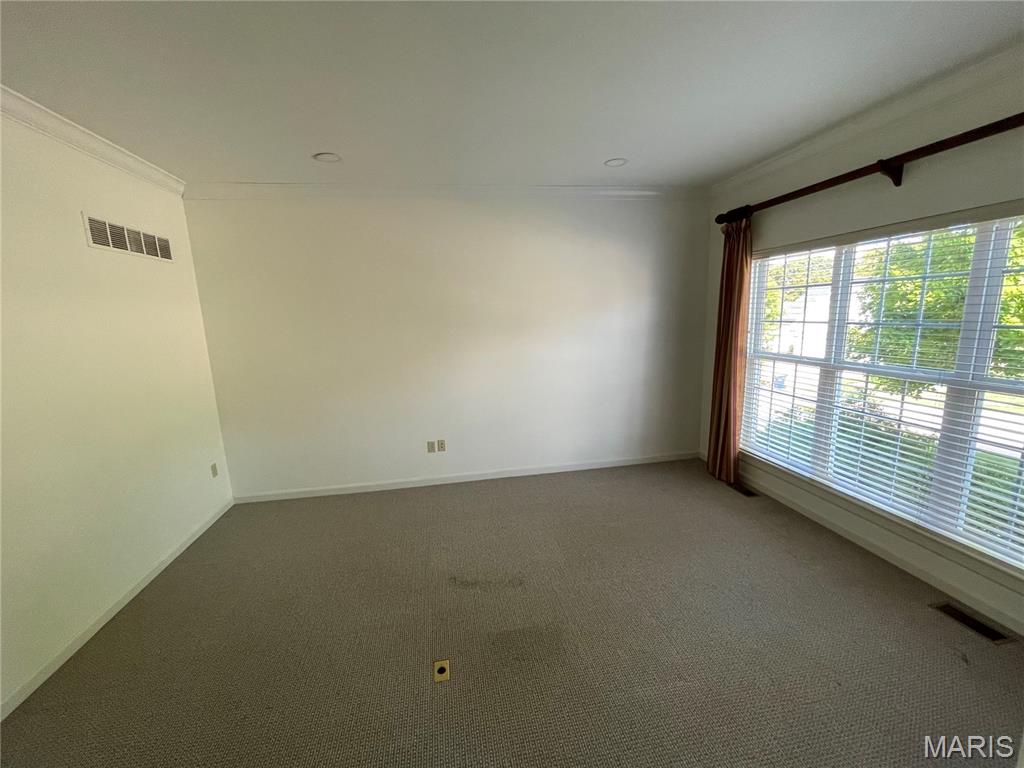 945 Stone Spring Drive Property Photo 38